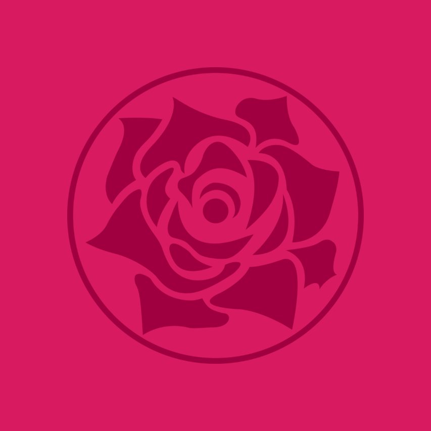 DS Logo
